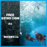 [해양생물연구소] PADI 오픈워터 + 어드밴스 코스 / 통합 프로모션!!