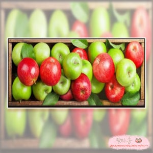 사과 과일 주방 라운드 보석십자수 diy세트 다이아몬드페인팅 큐빅 비즈 구슬 취미 90x40cm