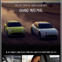 MY [ 카엔 ] 제네시스 GV60 머드가드 흙받이 몰딩 보호 4P