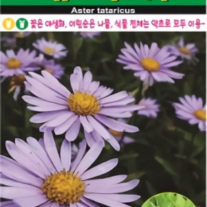 개미취 나물로도 인기 좋은 야생화 소포장 100립