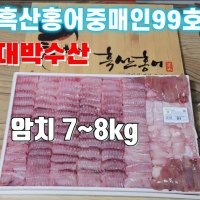 [흑산도직송]정직한 흑산도 참홍어 한마리 암치 7~8kg 싱싱한맛