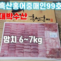 [흑산도직송]정직한 흑산도 참홍어 한마리 암치 6~7kg 싱싱한맛