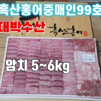 [흑산도직송]정직한 흑산도 참홍어 한마리 암치 5~6kg 싱싱한맛