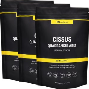 3팩 마이라이프 내추럴스 시서스 50배 농축 시서스가루 250g 분말 파우더 12개월분