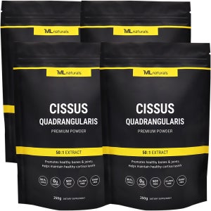 4팩 마이라이프 내추럴스 시서스 50배 농축 시서스가루 250g 분말 파우더 16개월분