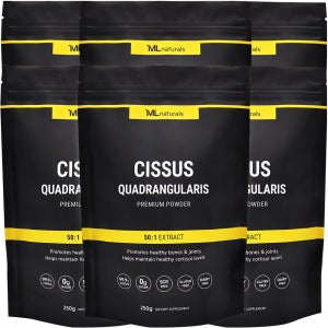 6팩 마이라이프 내추럴스 시서스 50배 농축 시서스가루 250g 분말 파우더 25개월분