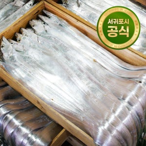 청룡수산 제주 절단 은갈치(토막갈치, 갈치조림/구이용)