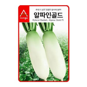 알파인골드 6g 무 씨앗 씨 종자 봄무 아시아종묘