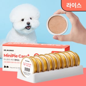 닥터맘마 미니파이케어 라이스 신장 신부전 요로결석 레날 강아지 고양이 습식 캔 간식 통조림