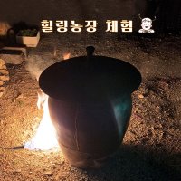 농촌 이색 수확 농장체험 어린이 초등학생 충남