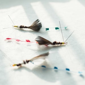 긴꼬리벌새 수제고양이장난감 낚시대 곤충 리필