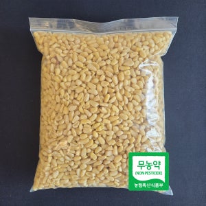 국산잣 햇잣 파지잣 1kg 견과
