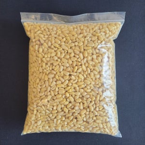 국산잣 햇잣 파지잣 1kg 견과