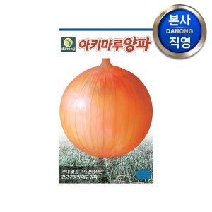 아키마루 양파 씨앗 5g 야채 채소 텃밭 파종 재배 주말 농장 씨 종자