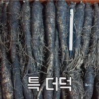 (특더덕) 산지직송 향긋하고 아삭한 햇 제주 더덕 1kg 생산자 직접판매