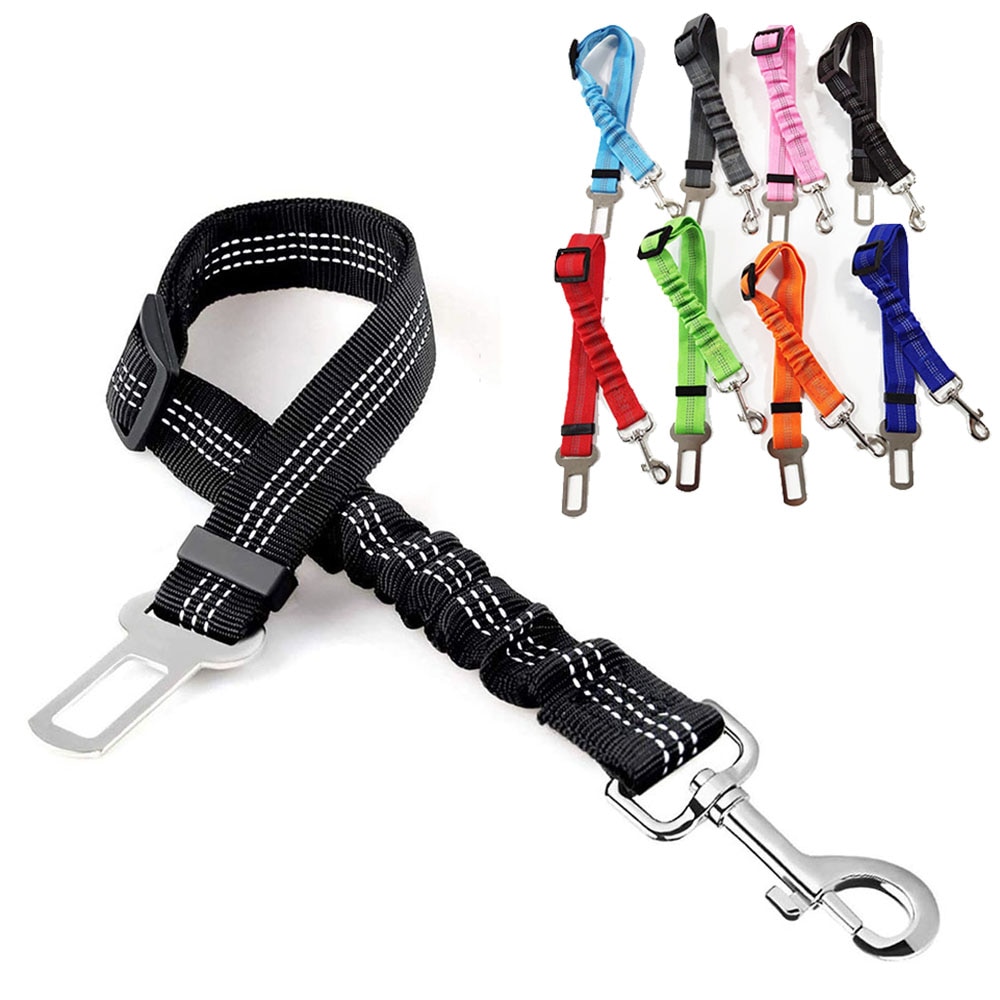 Shock Absorbing Dog Lead with Reflective Stitching Running and Training Premium Dual Handle Nylon for Hands Free Dog Walking Simpetico Heavy Duty Black Bungee Leash with Adjustable Waist Belt 