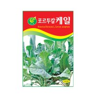 (CN) 포르투칼케일 씨앗 (600립)