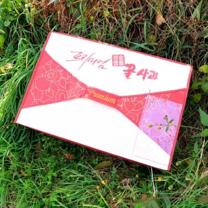 청송 달달 농원 햇 부사 시나노 골드 선물 세트 사과 5kg