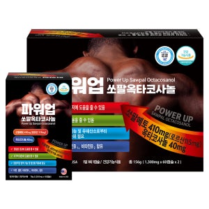 파워업쏘팔옥타코사놀 1300mg x 4개월