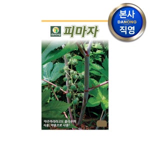 피마자 씨앗 (쯔비마) 30립 야채 채소 텃밭 파종 재배 주말 농장 씨 종자