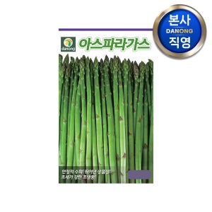아스파라거스 씨앗 200립 아스파라가스 야채 채소 텃밭 파종 재배 씨 종자