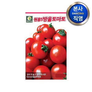 원홍5호 방울 토마토 씨앗 1만립 빨간 타원형 채소 씨 종자 텃밭 키우기