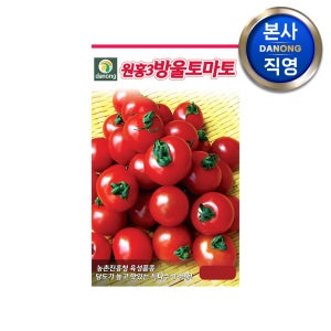 원홍3호 방울 토마토 씨앗 1만립 빨간 작은 원형 채소 씨 종자 텃밭 키우기