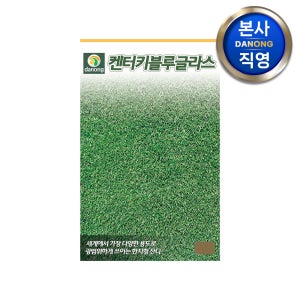 켄터키블루그라스 잔디 씨앗 20g 정원 운동장 마당 양잔디 씨 종자