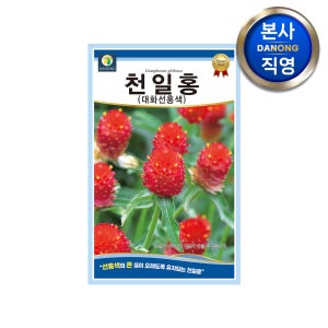 선홍색 큰꽃 천일홍 씨앗 100립 천일초 천금홍 야생화 꽃씨 종자