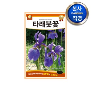 타래붓꽃 씨앗 2g 조경 정원 화단 관상용 야생화 키우기 파종 꽃씨 종자