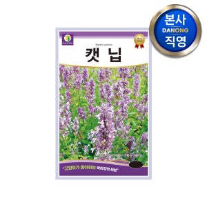 캣닙 씨앗 1g 캣닢 캣잎 개박하 허브 고양이풀 캣민트 키우기 꽃씨 종자
