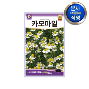 케모마일 허브 씨앗 1g 카모마일 정원 텃밭 꽃밭 재배 키우기 꽃씨 종자