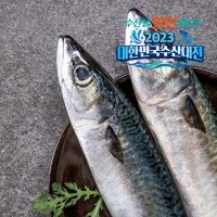 제주 고등어 진공포장