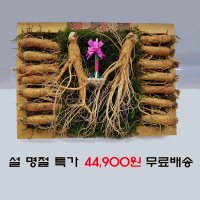 금산삼이야 수삼선물세트 6년근 750g 16뿌리