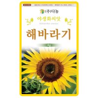 해바라기씨앗 1Kg 야생화씨앗 꽃씨 해바라기씨