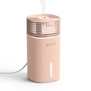 모이스 255ml 미니 초음파 가습기 무드등 사무실 책상 차량 탁상 원룸 H4