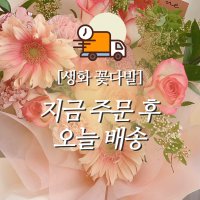 [지금 주문 후 당일배송] 생화 꽃다발