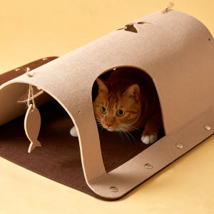 고양이섬 잡아라 숨숨터널