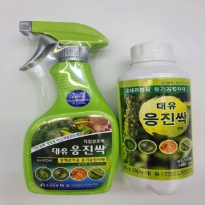 대유 응진싹 250ml