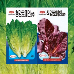 로메인 씨앗 2g 청강 로메인 , 적강 로메인 종자 26년포장