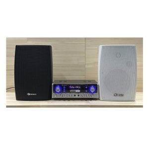 앰프스피커 매장용스피커 카페스피커설치 DY302+DY650 블랙+화이트(2개)