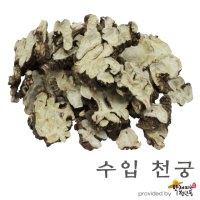 수입 천궁 [600g], 사물차재료, 십전대보재료 [약재파는청년들]