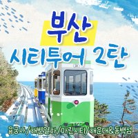 [KTX/출발확정]부산 시티투어 (용궁사 해운대 해변열차 아난티코브) 당일 기차여행 패키지(중식포함)