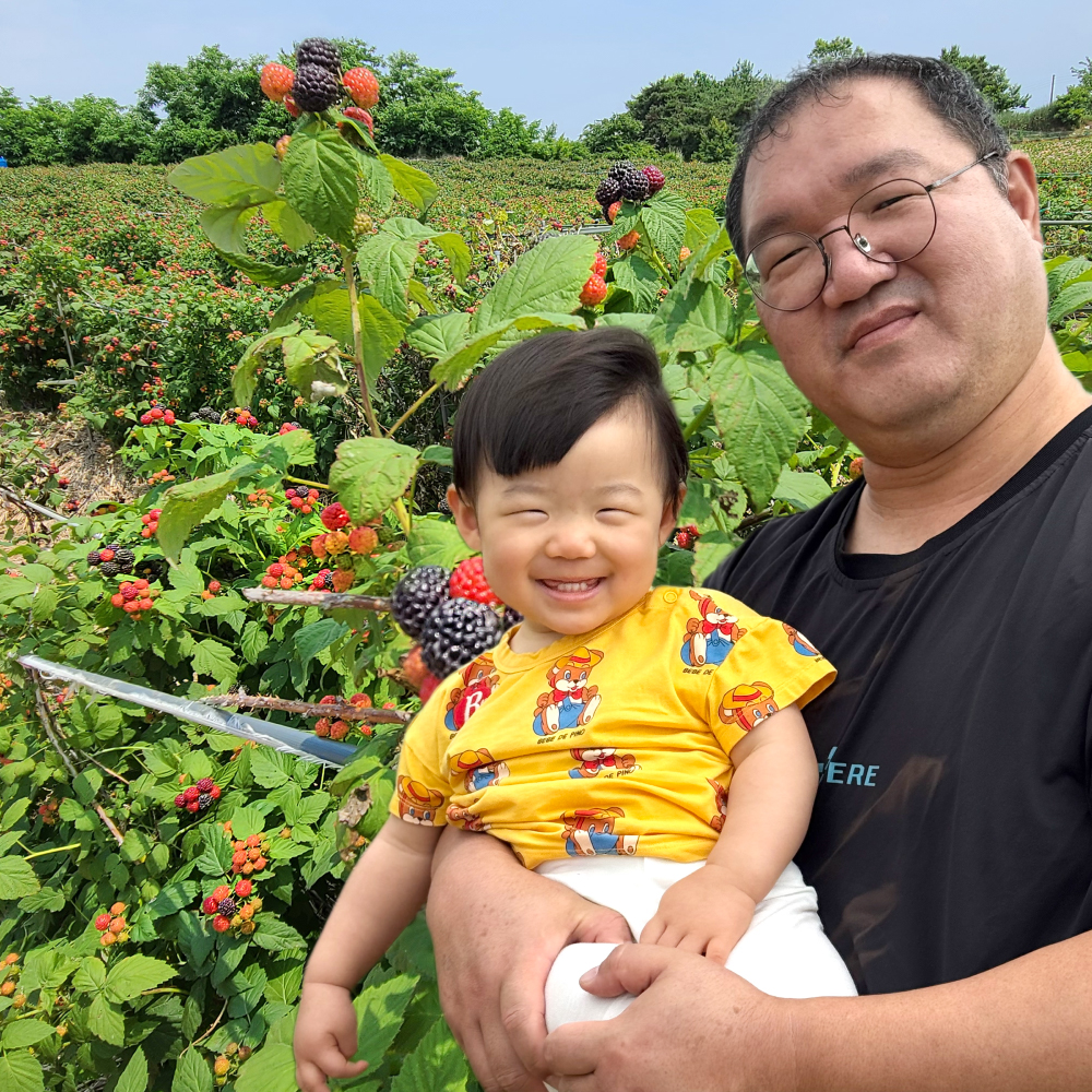 고창산 <b>복분자</b>열매 원과+생즙2포+거름망 발효비닐 레시피 5kg, 1개
