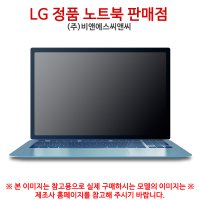 LG전자 LG그램 17Z95P-GA56K + SSD 256GB 추가 발송