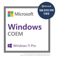 Windows 11 Pro 64bit DSP 한글 [온라인공인인증점]