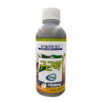 구근력500ml - 뿌리발근제 미네랄 복합비료 고추 배추 마늘 양파 뿌리 생장제