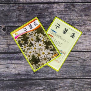 1000립 텃밭 홈 가드닝 원예 구절초 씨앗 꽃씨