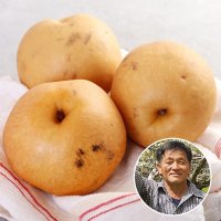 흠집배 나주배 흠과 나주 신고배 5kg