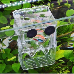 구피새끼 분리통 부화통 열대어 치어 격리 보호 산란